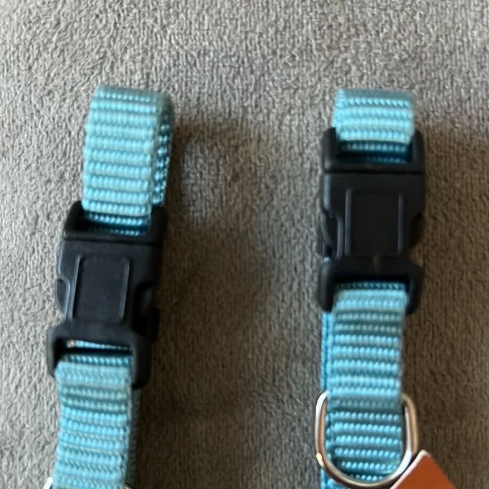 7-10” Adjustable Light Blue Dog or Cat Collar